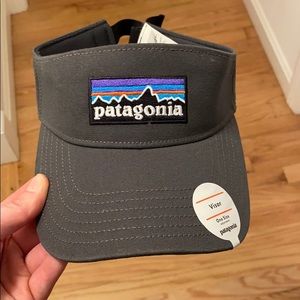 NWT Patagonia Visor